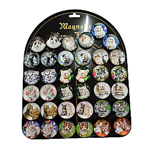 Magnet - Cat 3.5cm, mix