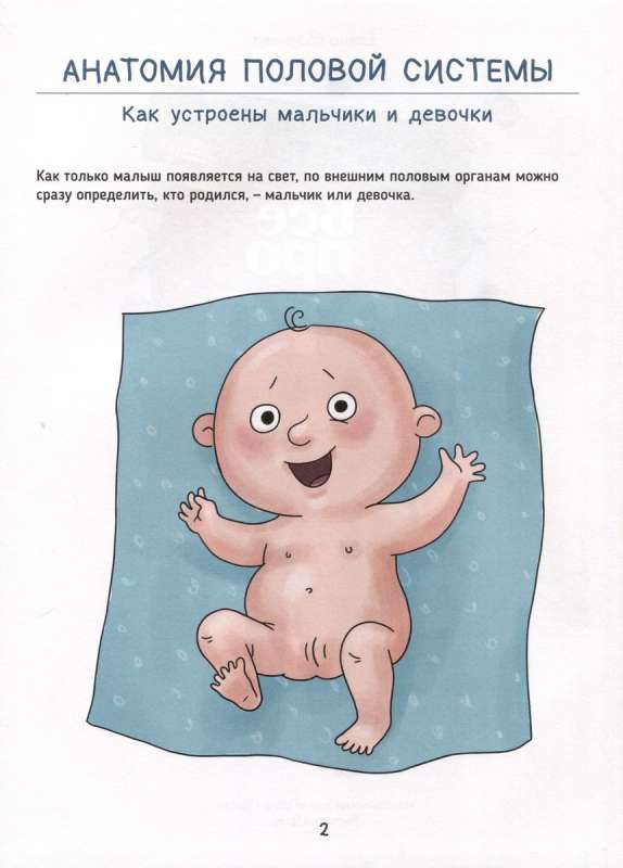 Everything About It. An Intimate Primer for Children