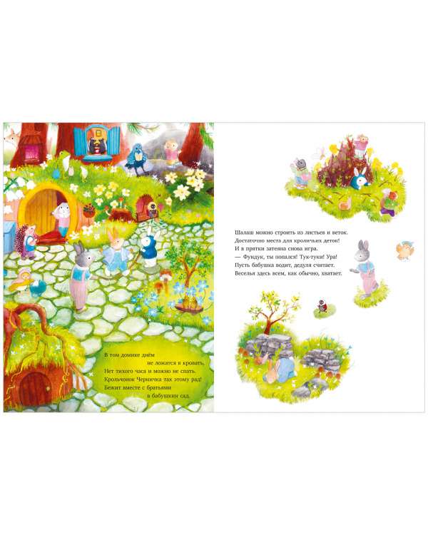 Picture Books. What Happened to Funduk?