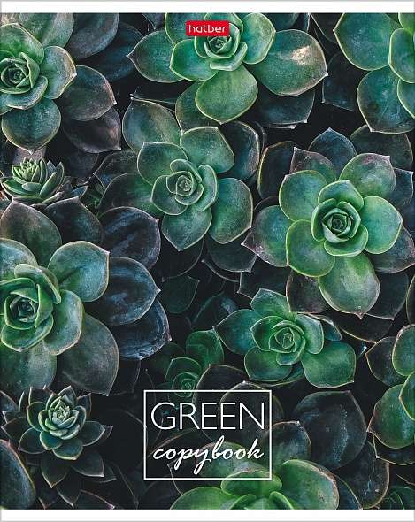 Тетрадь 96л А5ф клетка  - MOREgreen
