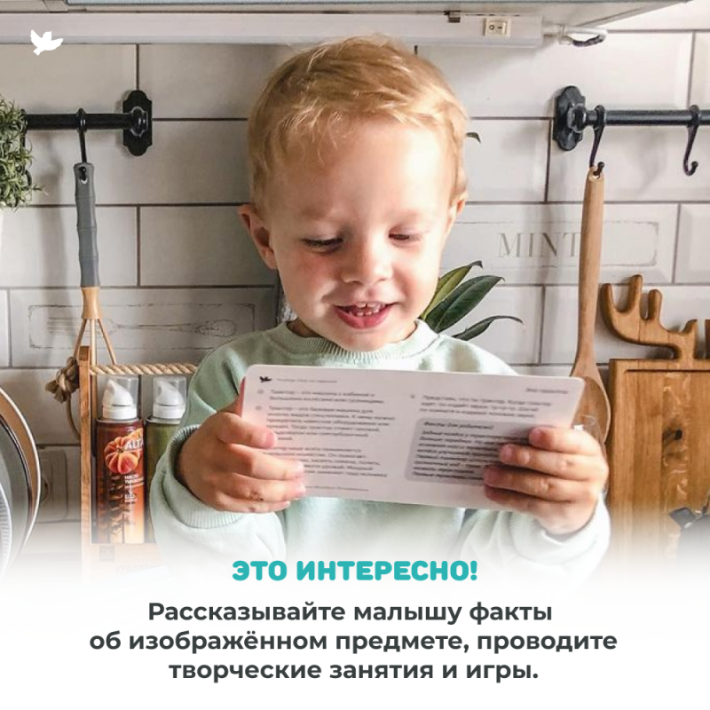 Children's Encyclopedia in Photographs. Tropical Animals and Nature Records