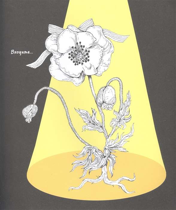 Yuko Higuchi's Coloring Book Invites You to the Meowseum