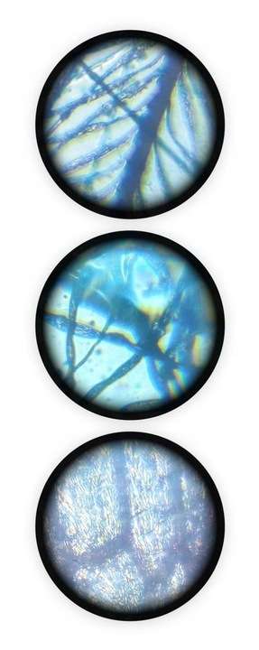 Children's Microscope, 15 Experiments