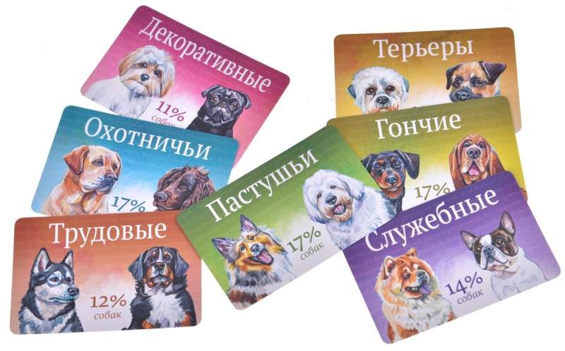Настольная игра - Прогулки с собаками