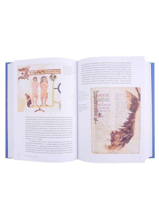 Manuscripts That Changed the World. The Most Amazing Manuscripts of the Middle Ages