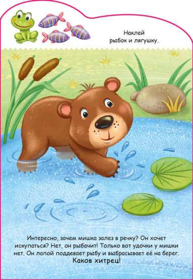 Bear cub