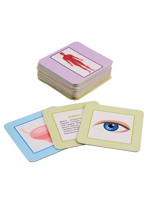 Smart Suitcase Board Game. Human Body