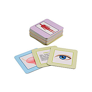 Smart Suitcase Board Game. Human Body