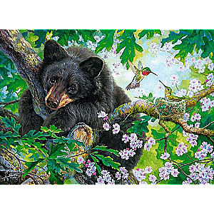 Puzzle Wish I Could Fly 200 pieces