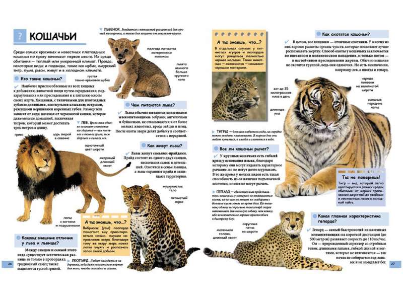 Ilustrowana dziecięca encyklopedia w pytaniach i odpowiedziach