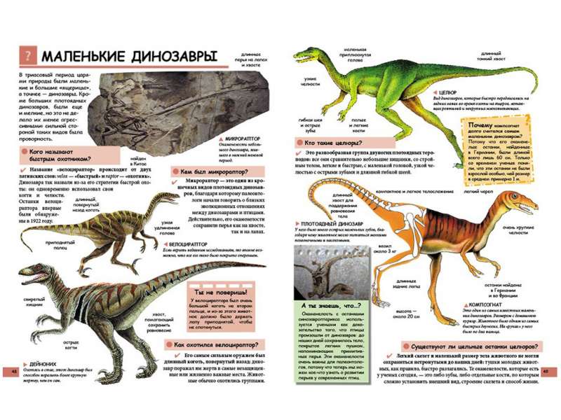 Ilustrowana dziecięca encyklopedia w pytaniach i odpowiedziach