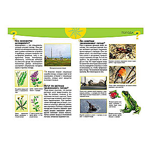 Curious Child's Encyclopedia