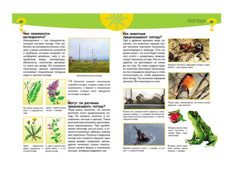 Curious Child's Encyclopedia
