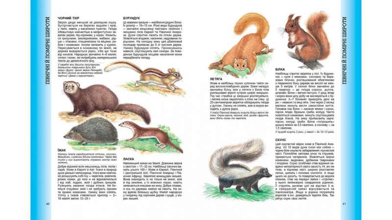Wielka encyklopedia zwierząt