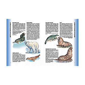Wielka encyklopedia zwierząt