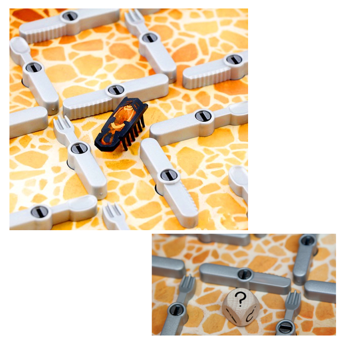 Board Game - Cockroach