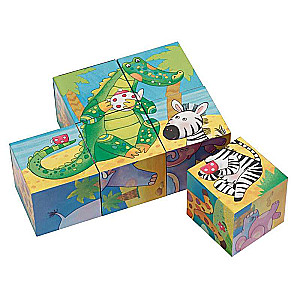Smart Cubes - This is Africa!