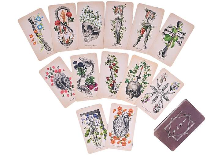 Antique Anatomy Tarot kārtis. Antīkās anatomijas taro (78 kārtis + instrukcija)