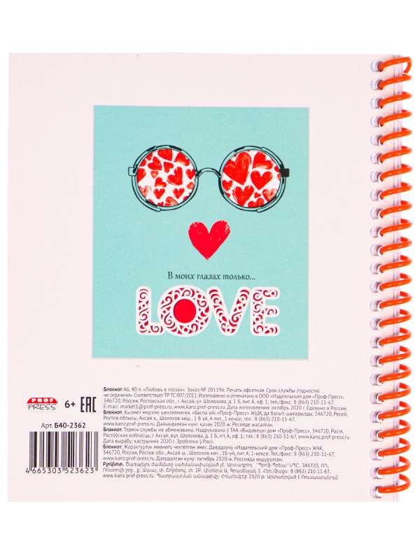 Notebook - Love in the Eyes