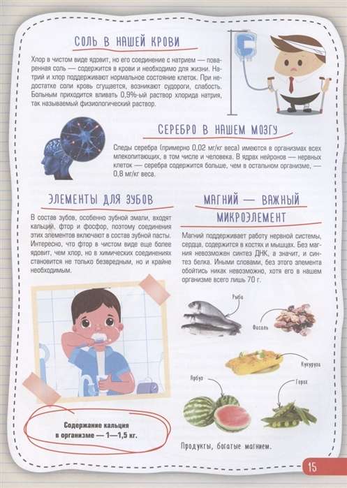 Cilvēka anatomijas atlants