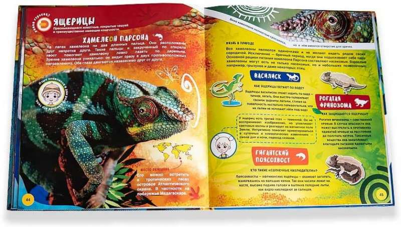 Dzīvnieku pasaule