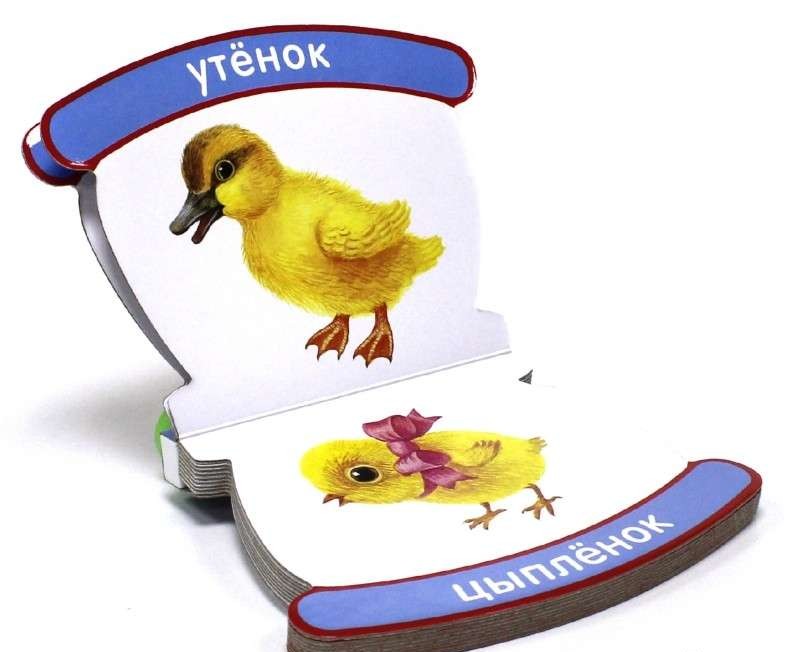 Животные