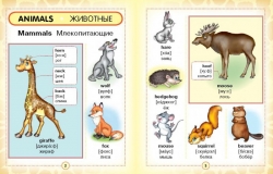 English-Russian Visual Dictionary