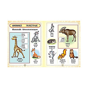 English-Russian Visual Dictionary