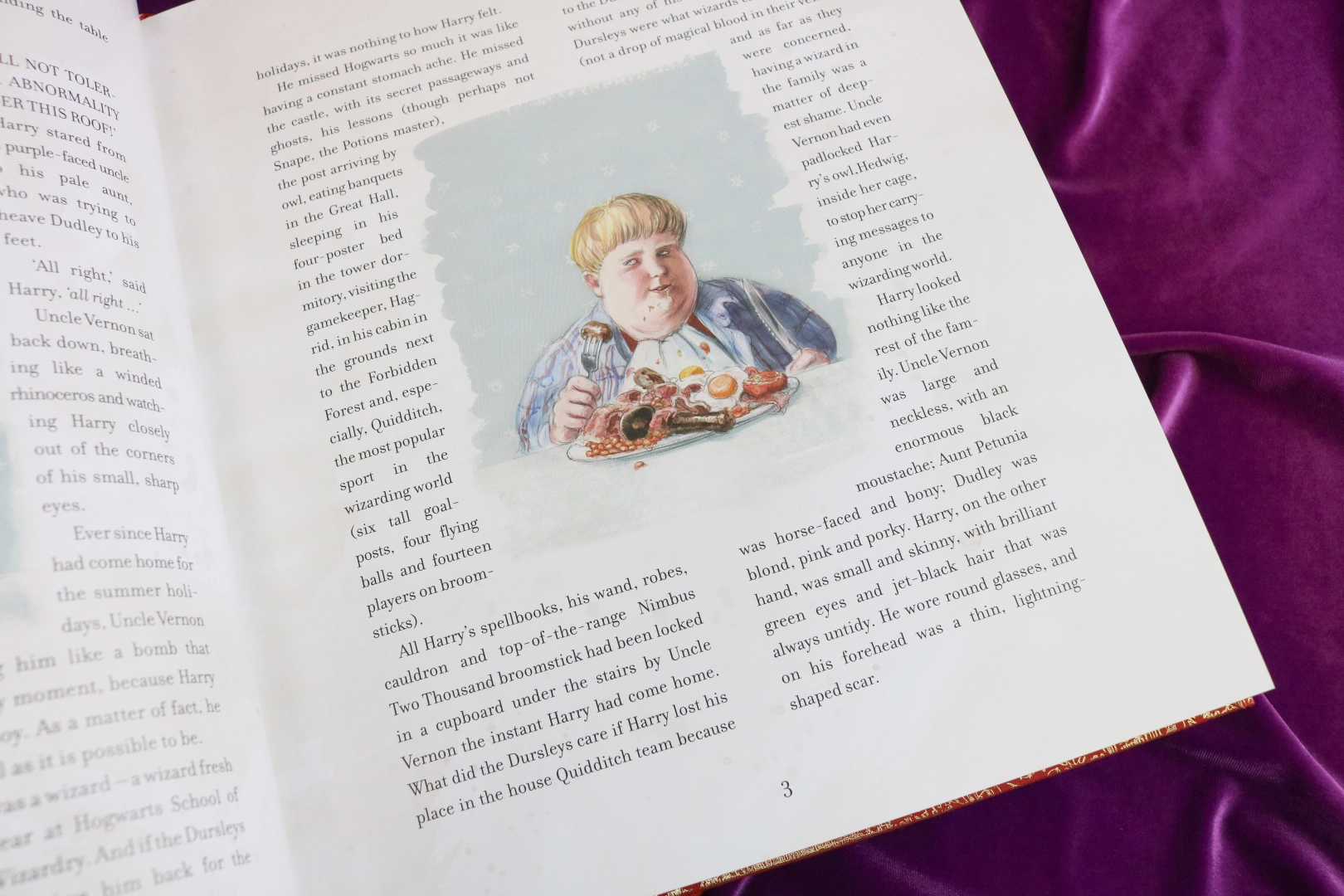 Joanne Rowling: Haris Poteris ir paslapčių kamera