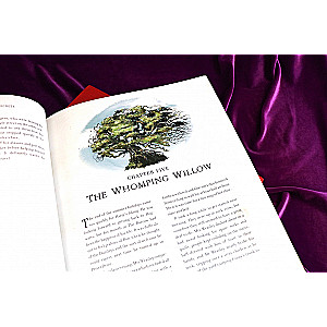 Joanne Rowling: Haris Poteris ir paslapčių kamera