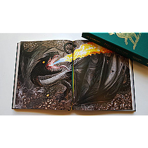 Joanne Rowling: Harry Potter und der Feuerkelch. Deluxe illustrierte Schuber-Ausgabe