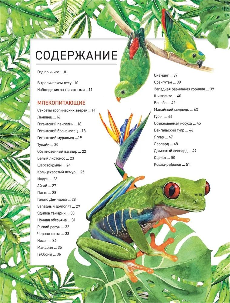 Zadziwiające zwierzęta. Pełna encyklopedia