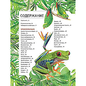 Zadziwiające zwierzęta. Pełna encyklopedia