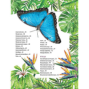 Zadziwiające zwierzęta. Pełna encyklopedia