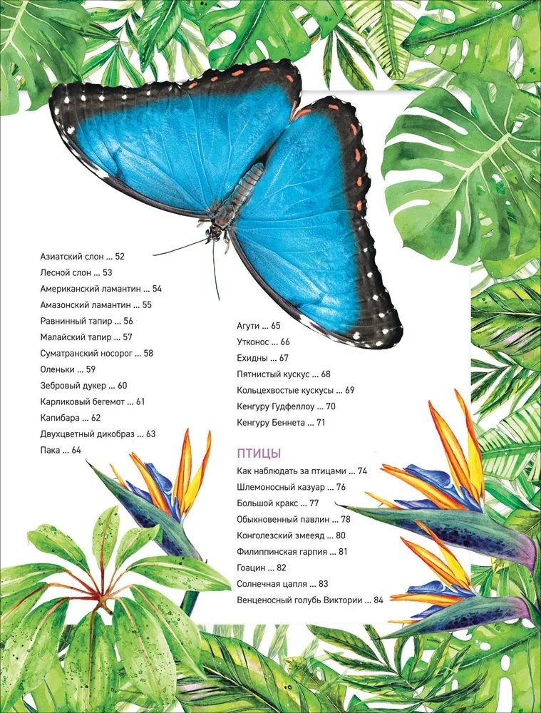 Zadziwiające zwierzęta. Pełna encyklopedia
