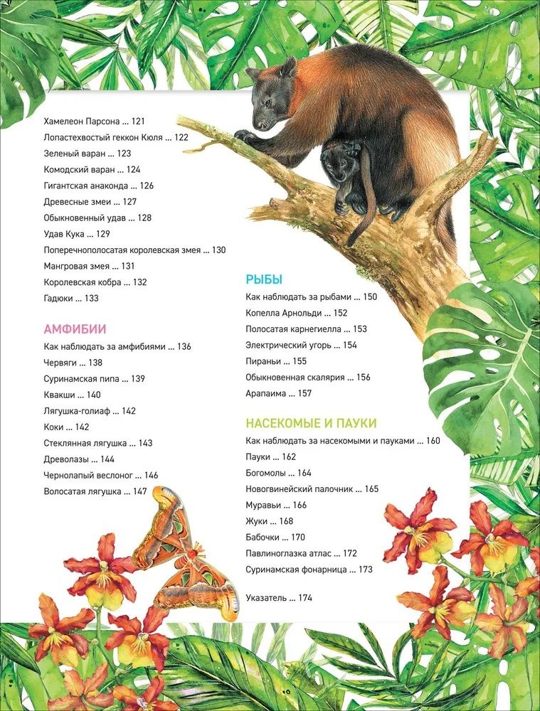 Zadziwiające zwierzęta. Pełna encyklopedia