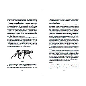 Von der Savanne zum Sofa. Die evolutionäre Geschichte der Katzen
