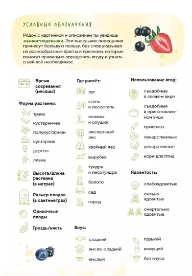 Berries. Field Guide