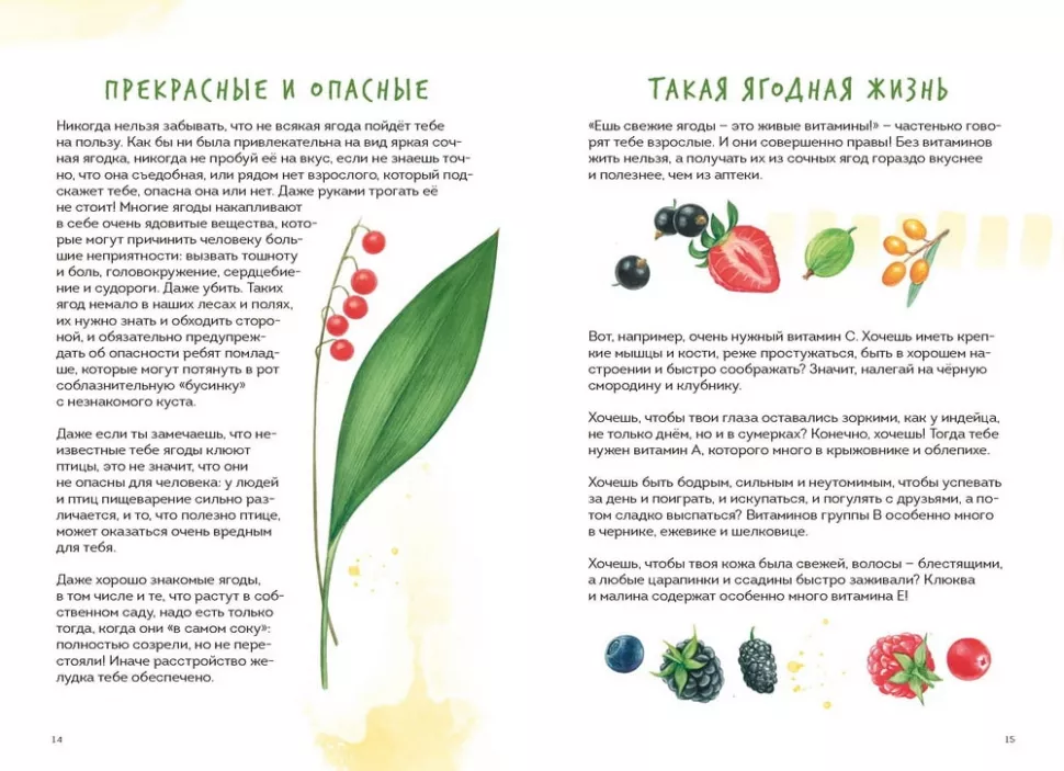 Berries. Field Guide