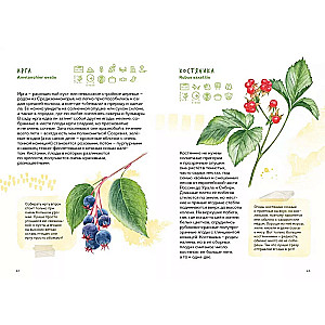Berries. Field Guide
