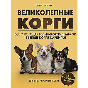 Wspaniałe corgi. Wszystko o rasach welsh corgi pembroke i welsh corgi cardigan