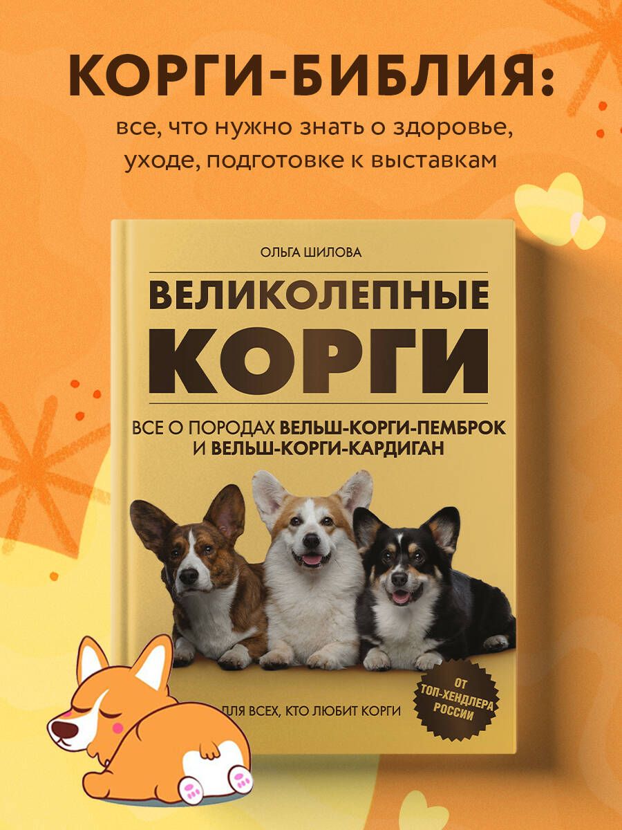 Wspaniałe corgi. Wszystko o rasach welsh corgi pembroke i welsh corgi cardigan