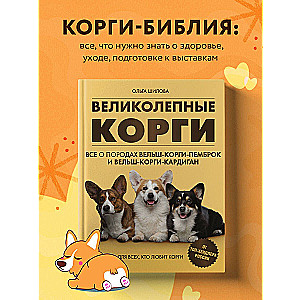 Wspaniałe corgi. Wszystko o rasach welsh corgi pembroke i welsh corgi cardigan