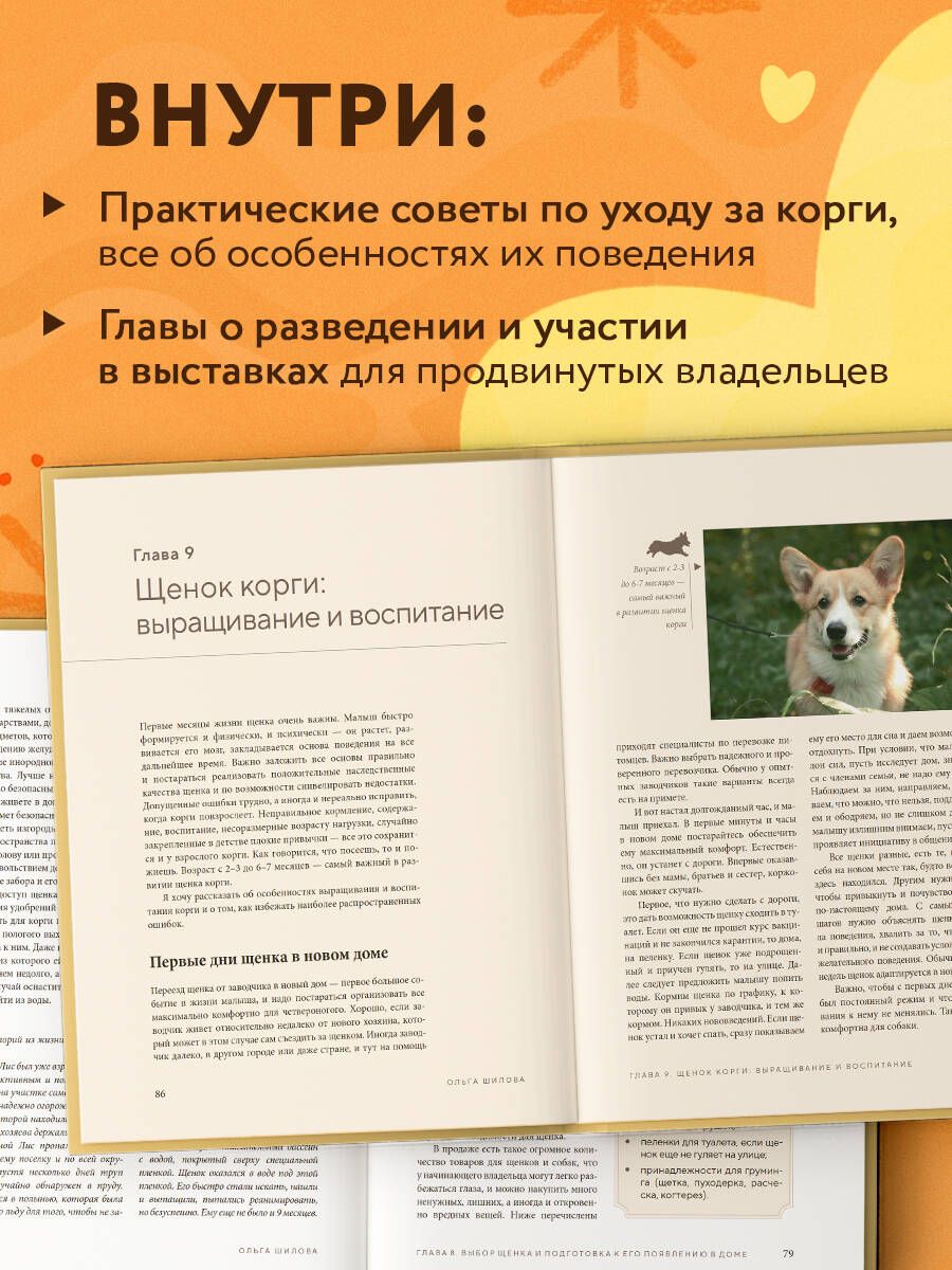 Wspaniałe corgi. Wszystko o rasach welsh corgi pembroke i welsh corgi cardigan