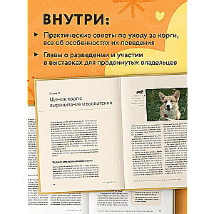 Wspaniałe corgi. Wszystko o rasach welsh corgi pembroke i welsh corgi cardigan