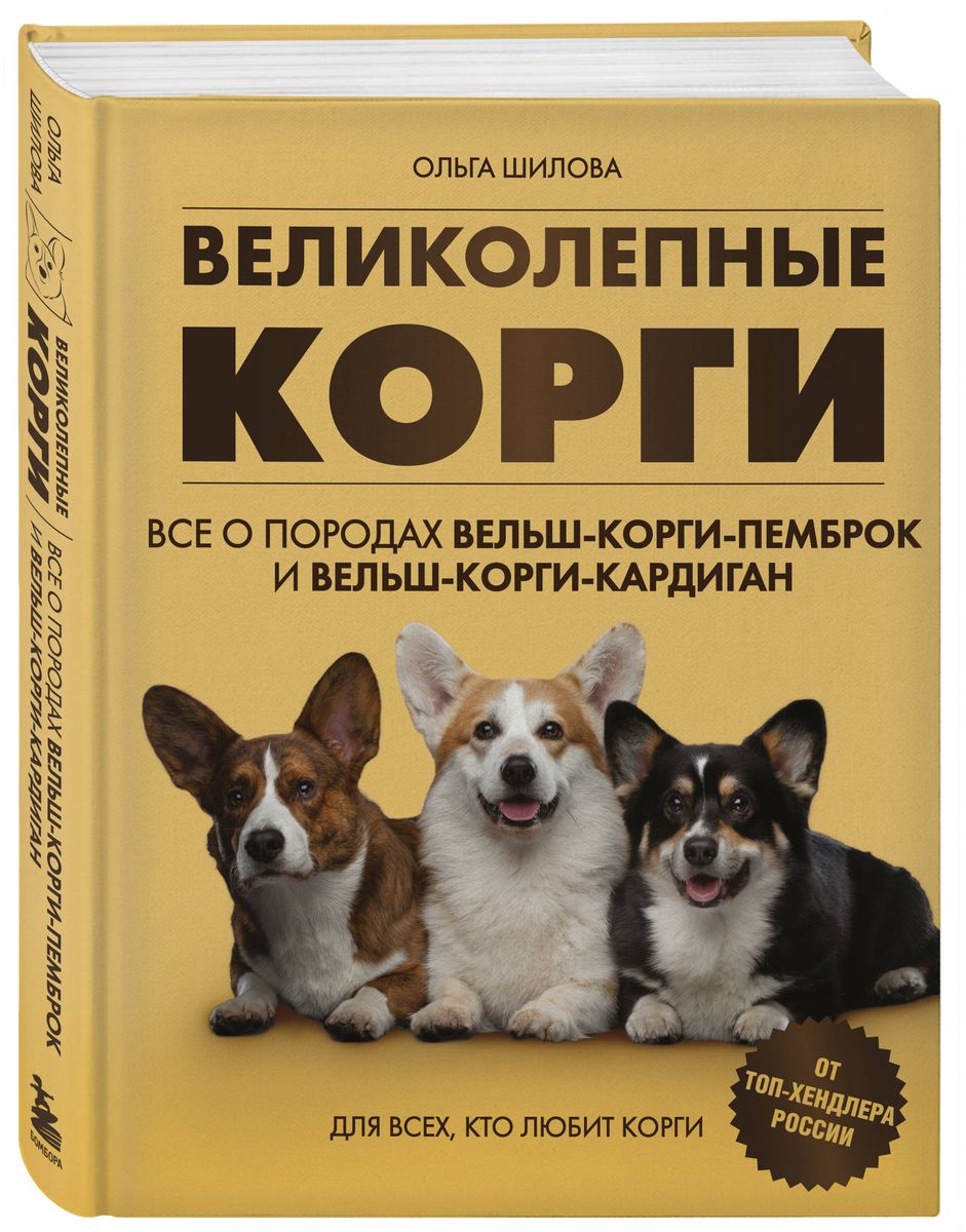 Wspaniałe corgi. Wszystko o rasach welsh corgi pembroke i welsh corgi cardigan