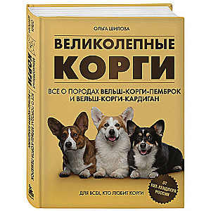 Wspaniałe corgi. Wszystko o rasach welsh corgi pembroke i welsh corgi cardigan