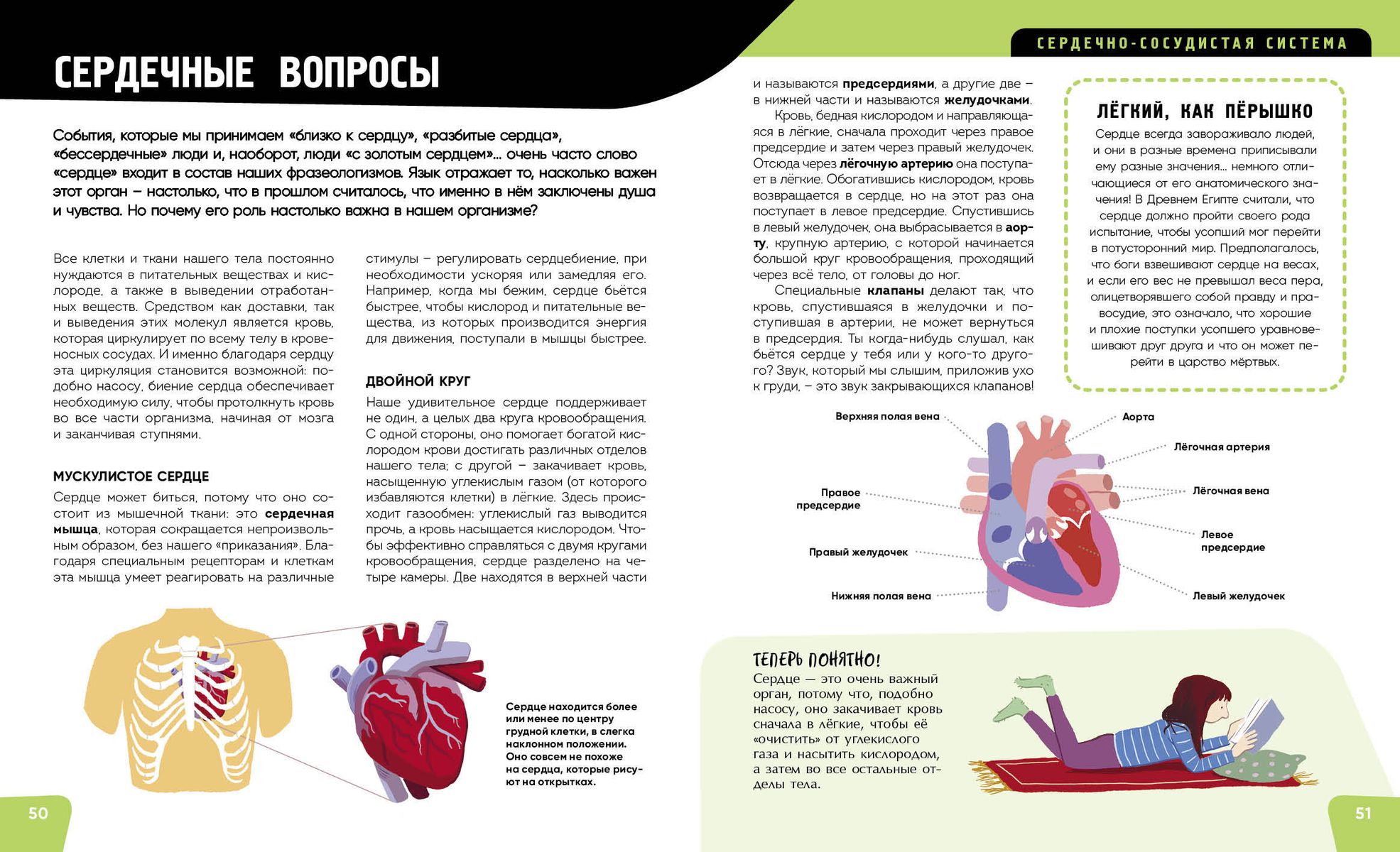 The Human Body. The Most Anatomical Encyclopedia