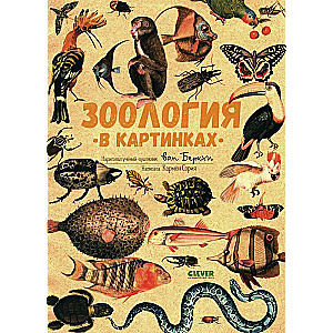 Zadziwiające encyklopedie. Zoologia w obrazkach