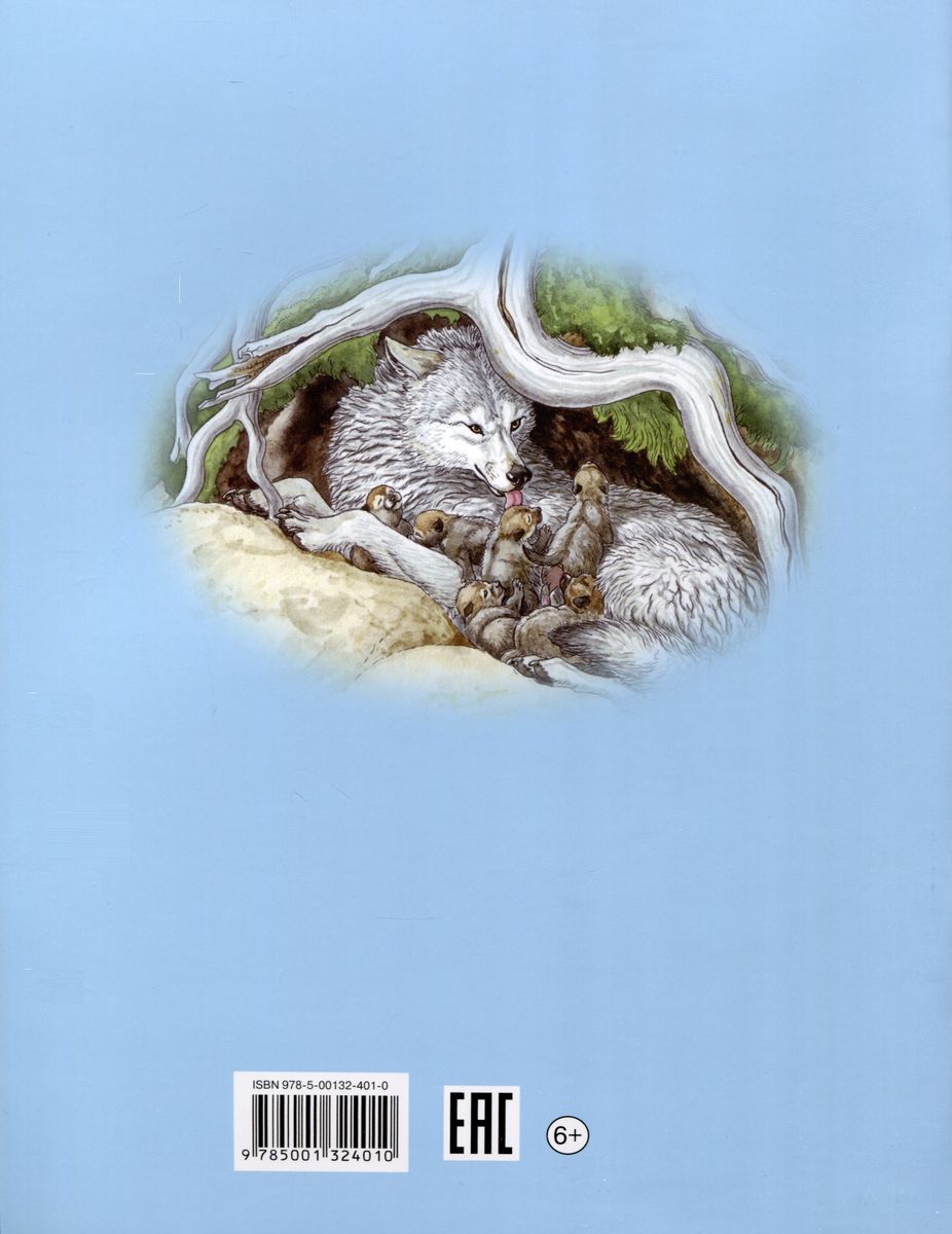The Story of a Wolf Cub. A Tale. Book Carousel